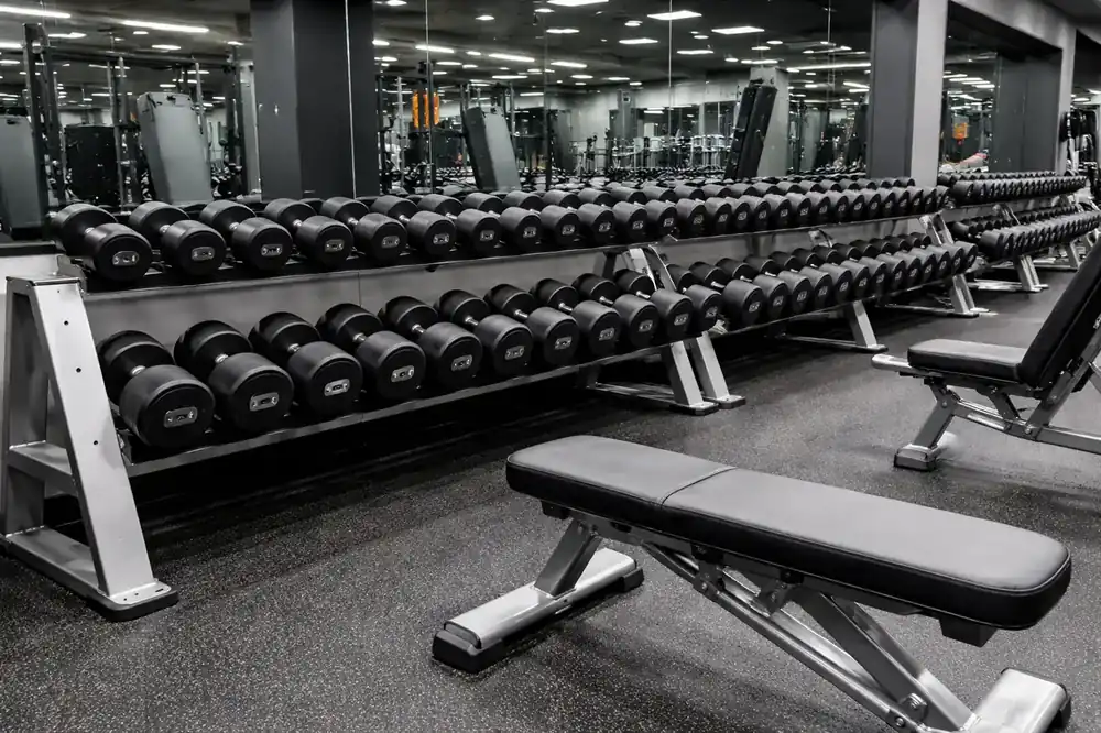 Portada del artículo: Cuántas mancuernas necesita un gimnasio y qué cuestan